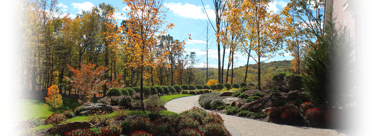 Paver walkway and decorative landscaping