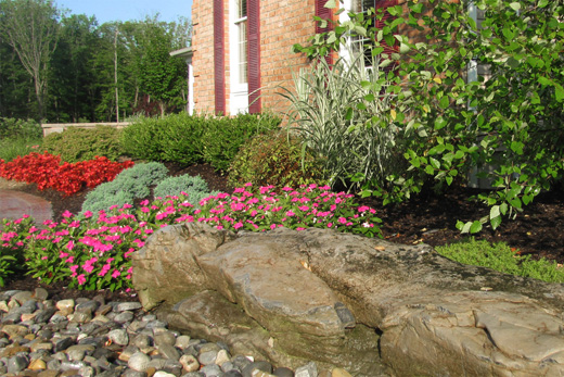 plants8