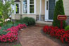 plants10