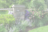 plants4