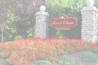 plants7