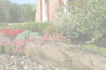 plants8