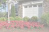 plants9