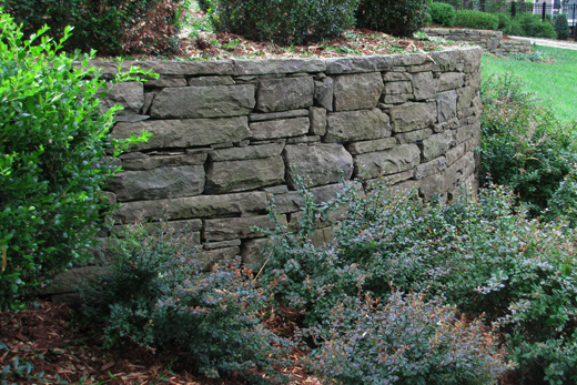 walls1